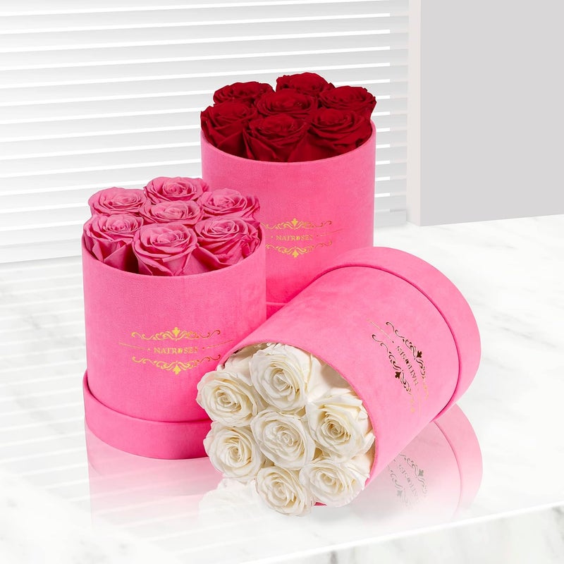NATROSES 7 Piece Preserved Roses in Pink Box - Image 4